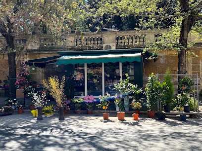 Asmara Fiori, Fiorista a Roma