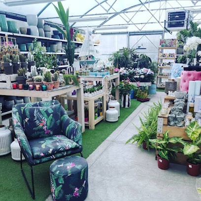 M'AMA, Fiorista a Vigano San Martino