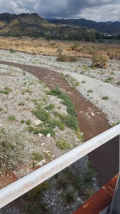 Arena Rocco Fiori E Piante, Fiorista a Grotteria