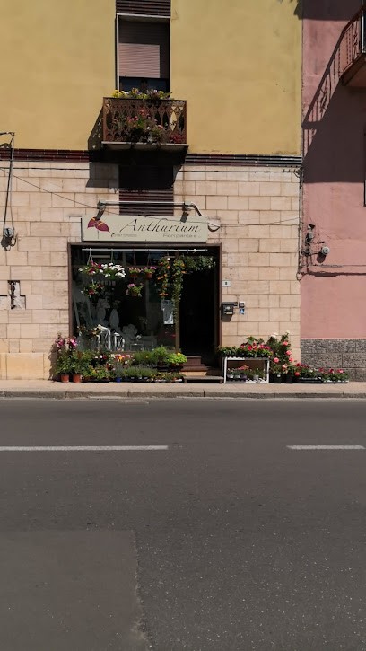 ANTHURIUM fiori e piante, Fiorista a Iglesias