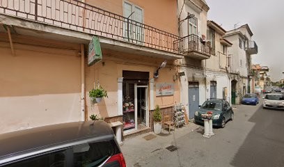 L'azalea, Fiorista a Mugnano di Napoli