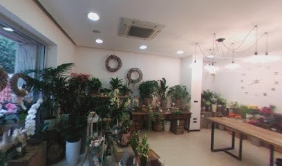 Floricoltura Magnani ...in città, Fiorista a Cesena