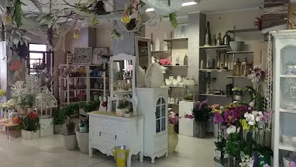 Pompeo Remo Fioraio, Fiorista a Venafro