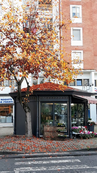 La Floreria, Fiorista a Sarzana