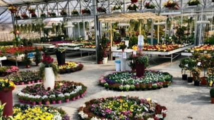 Dal Col Giorgio, Fiorista a Vittorio Veneto