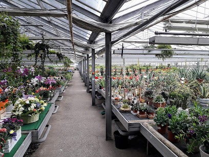 Floricoltura Garden Tres, Fiorista a Marostica