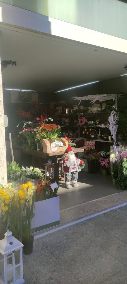 Se Son Rose... Fiori E Piante Di Giusy E Moira, Fiorista a Ventimiglia