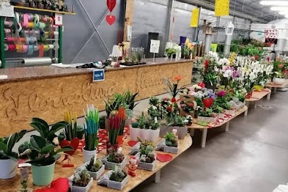 Floricoltura Tracconaglia, Fiorista a Ghedi