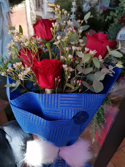 Fiorissimo Di Diano' Lucia Antonietta, Fiorista a Laurenzana