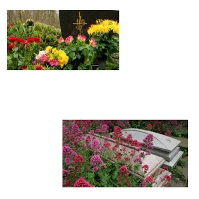 Magnolia Servizi Funebri - Magnolia L'Arte dei Fiori, Fiorista a Isola di Capo Rizzuto