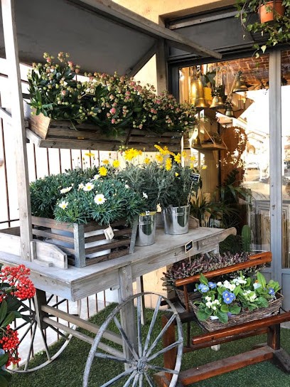 Chloris Fiori e Oggettistica di Emanuela Masoero, Fiorista a Cambiano