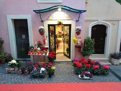 Fiori E Piante Pina Di Lucidi Simone, Fiorista a Genazzano