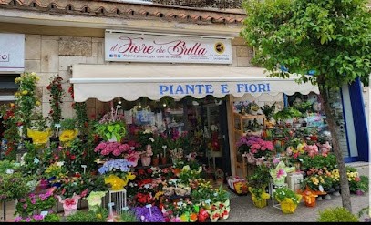 IL FIORE CHE BRILLA DI DANIELA E ALESSANDRA MANZONE, Fiorista a Pomezia