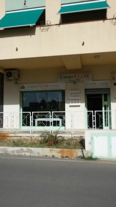 EmmeFlor di Imma Mele, Fiorista a Scanzano Jonico