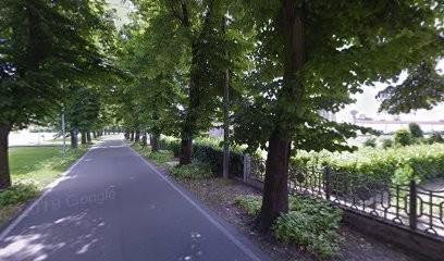 Le Fate Dei Fiori Di Chiara Binacchi, Fiorista a Luzzara