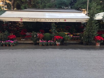Nuccio Piante E Fiori Di Natale Scaccio, Fiorista a Palermo
