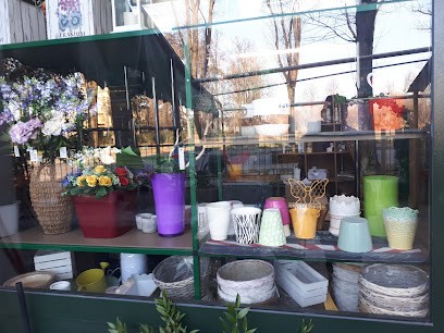 Paternostro Franco, Fiorista a Codogno