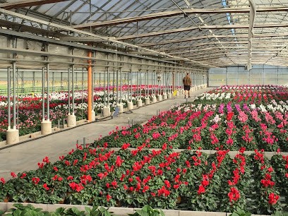 Società Agricola Bet, Fiorista a Cordignano