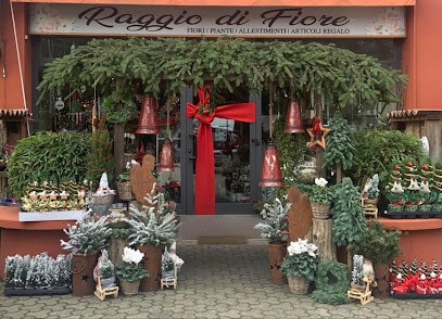 Raggio Di Fiore, Fiorista a Mozzate