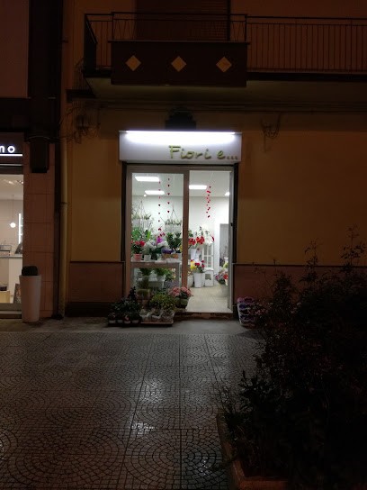 Flor - Nar Dei F.Lli Saffi & C. S.N.C., Fiorista a Rutigliano