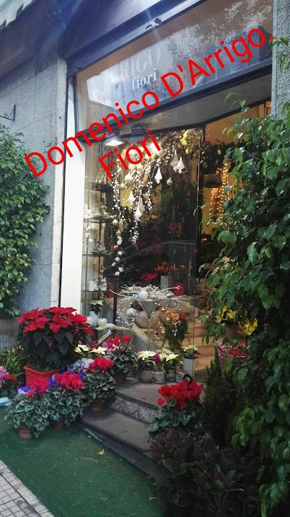 D’Arrigo Fiori, Fiorista a Messina
