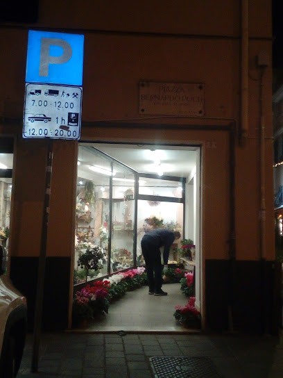 Sommariva Giorgio Fiori E Piante Genova, Fiorista a Genova
