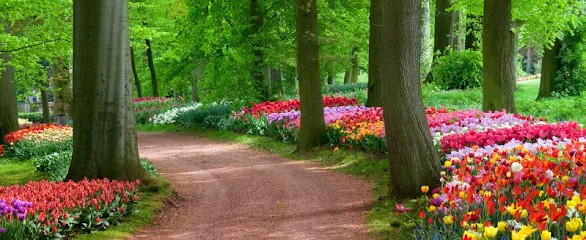 Vivai Danieli, Fiorista a Ceriano Laghetto