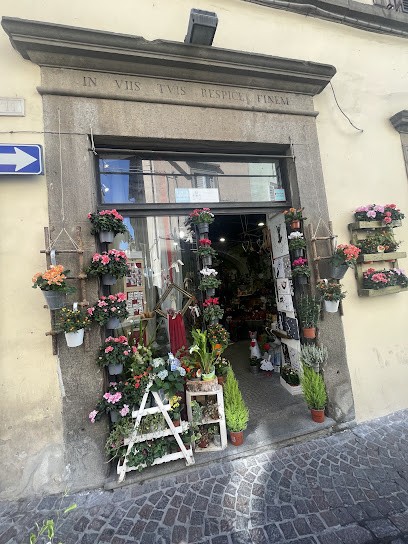 Nondilunedi Piante E Fiori, Fiorista a Viterbo