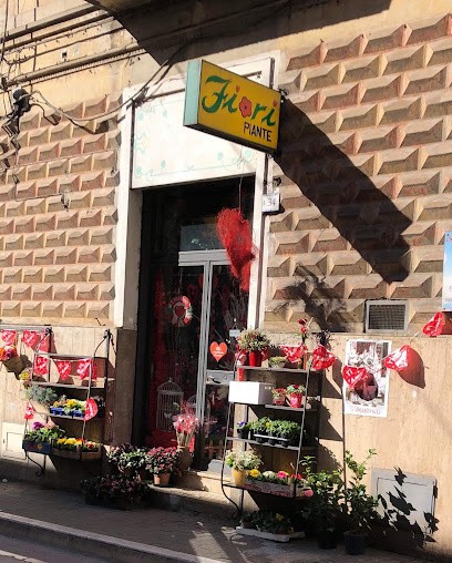 La Magia Dei Fiori, Fiori E Piante, Fiorista a Piedimonte Matese