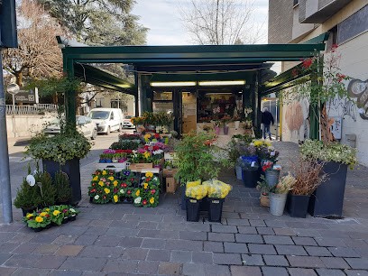 FEDELFIORI Chiosco, Fiorista a Seregno