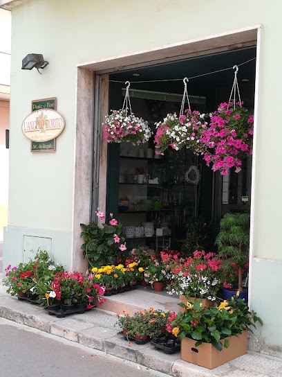L' ANGOLO FIORITO, Fiorista a Torchiarolo