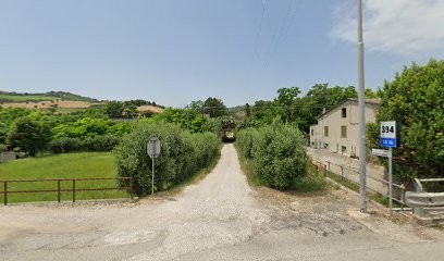 Fioraio Galie' - Articoli Per Fiori Di Giorgio Galie', Fiorista a Martinsicuro