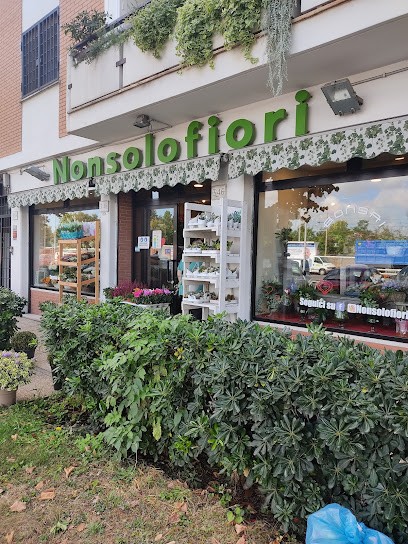 Non Solo Fiori, Fiorista a Roma