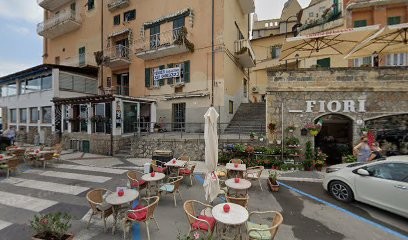 Martina Fiori E Piante, Fiorista a Monte Argentario