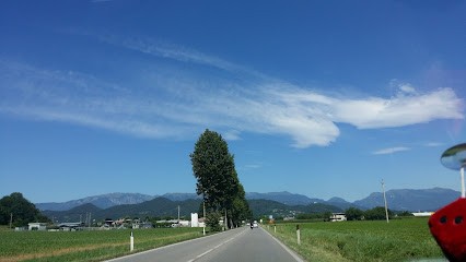 Le Rose Delle Rive, Fiorista a Montebelluna