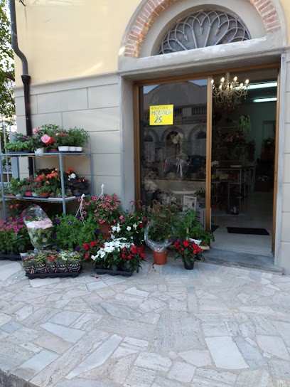 Ci Vuole Un Fiore Di Puccetti Elisabetta, Fiorista a Cascina