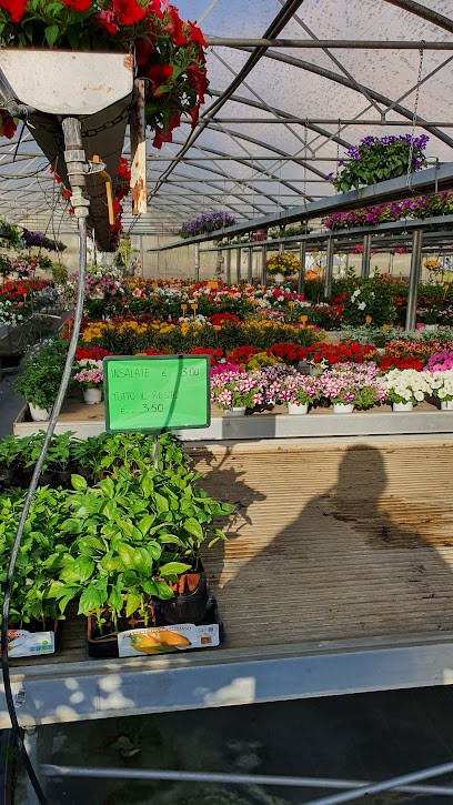 Fiorista Garden Quadrifoglio, Fiorista a Viadana