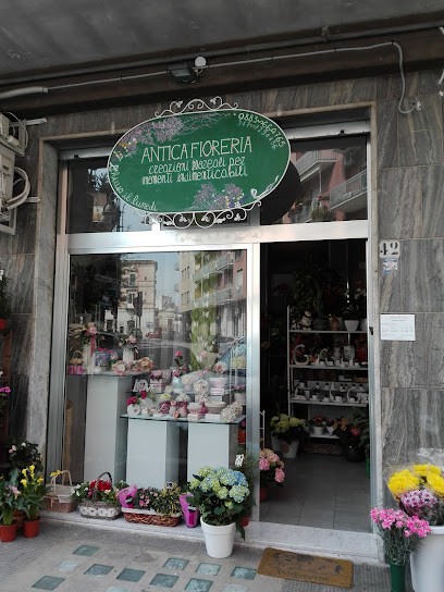 Antica Fioreria Di Luisi Marilena, Fiorista a Canosa di Puglia