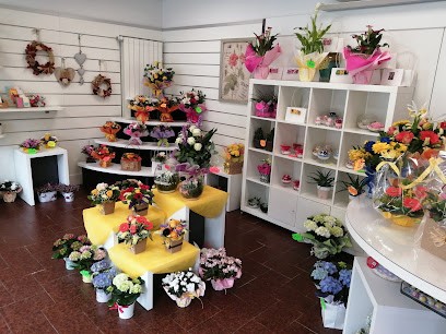 Flor Fantasy - Fiorista Novara, Fiorista a Novara