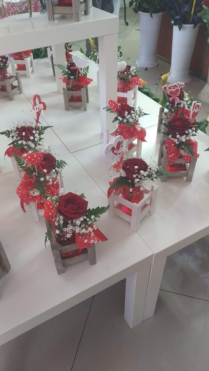 La Begonia dei F.lli Ventura Di Ventura Massimo & C. S.A.S., Fiorista a Caltanissetta