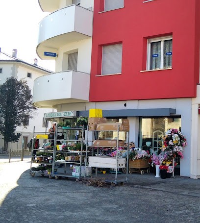 Fioreria L'Angolo Del Verde, Fiorista a Cles