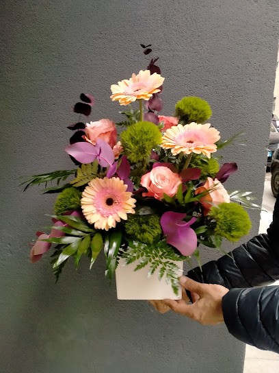 L'Isola Verde Fioreria, Fiorista a Foligno