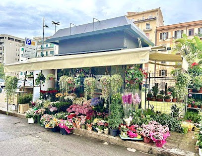 𝑩𝒐𝒕𝒂𝒏𝒊𝒌𝒂 𝑭𝒊𝒐𝒓𝒊 𝒅𝒊 𝑮𝒊𝒐𝒂𝒄𝒄𝒉𝒊𝒏𝒐 𝑵𝒖𝒄𝒂𝒕𝒐𝒍𝒐, Fiorista a Palermo