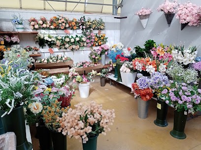 Floricoltura Mazzocchi Di Elena Mazzocchi, Fiorista a Nogara