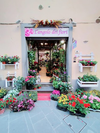 L'Angolo Dei Fiori, Fiorista a Barberino di Mugello