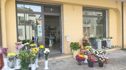 Il Bosco Incantato Di Plataroti Mirella, Fiorista a Taurianova