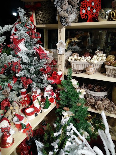 Scisciani Paola, Fiorista a Macerata