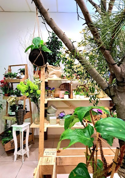 Profumo Di Fiori, Fiorista a Fiumicino