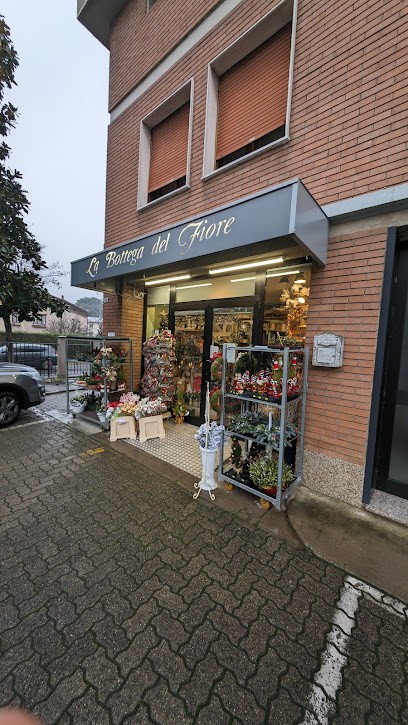 La Bottega Del Fiore, Fiorista a Cavriago