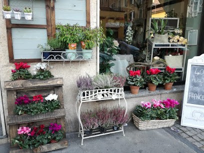 Aglàe, Fiorista a Torino